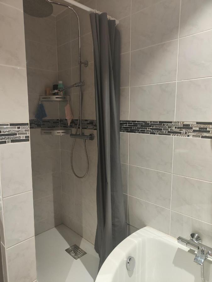 Tres Grand Appartement De 76M2 A Страсбург Екстериор снимка