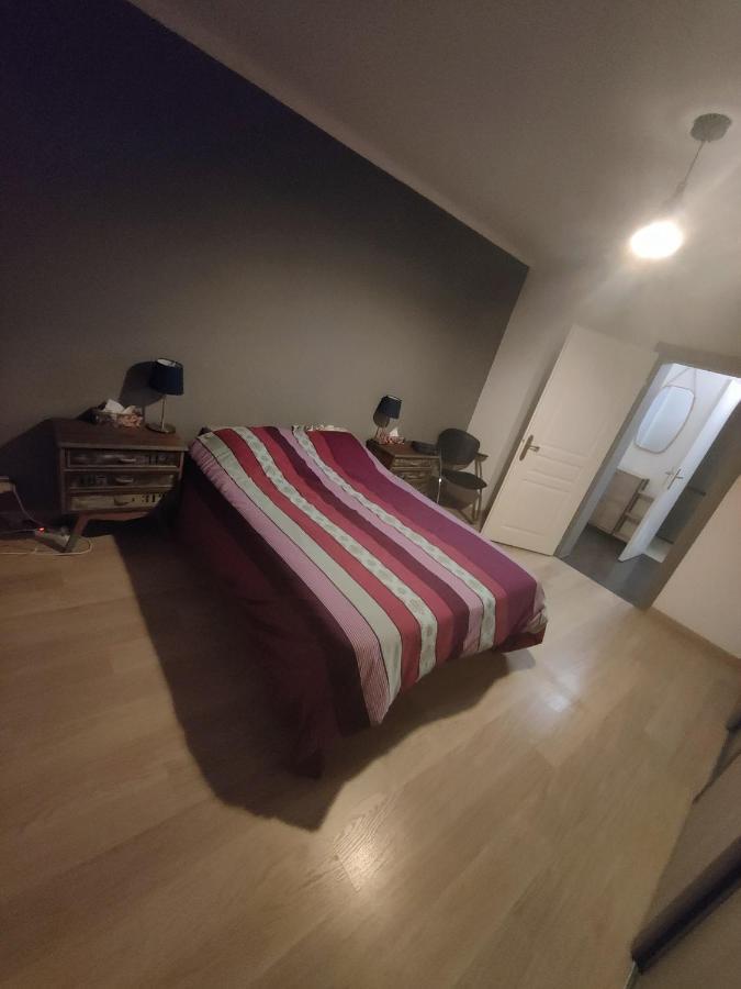 Tres Grand Appartement De 76M2 A Страсбург Екстериор снимка
