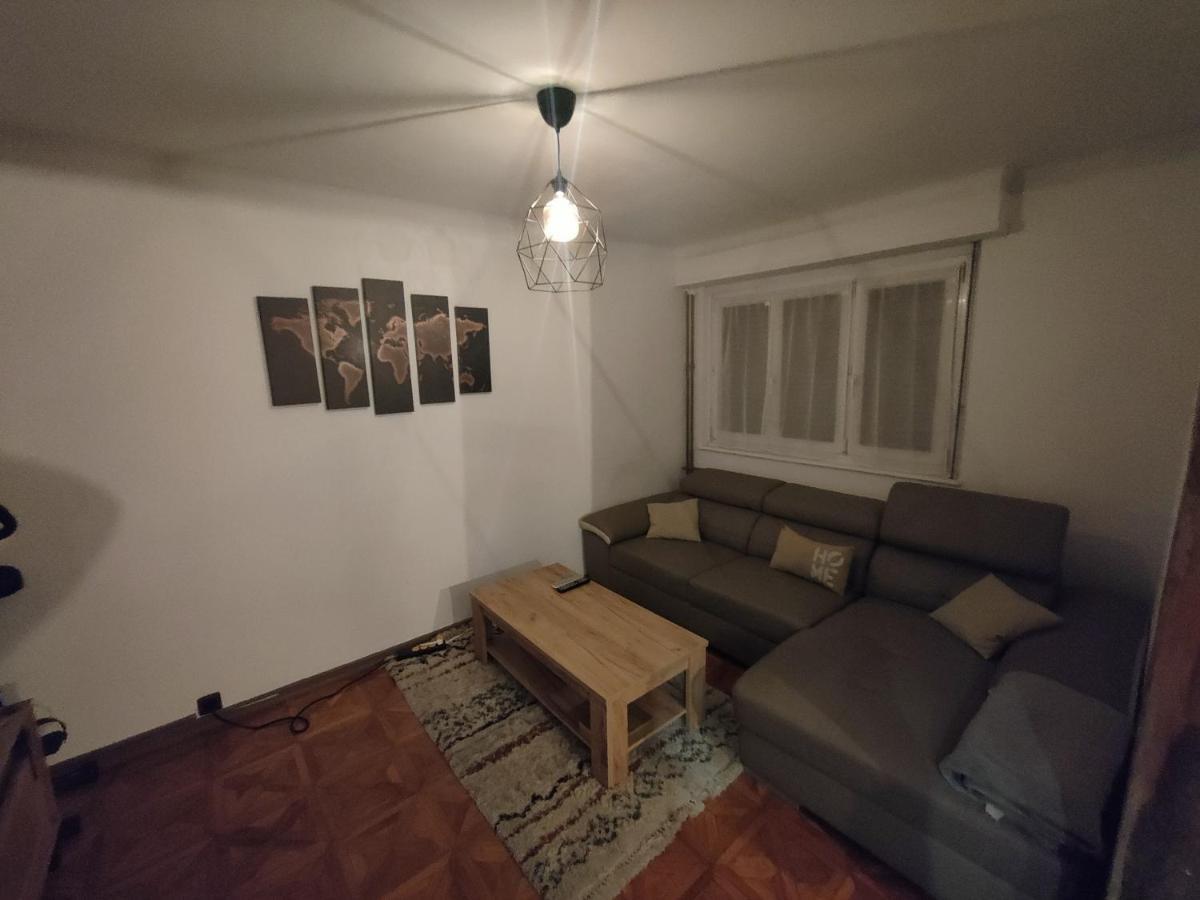 Tres Grand Appartement De 76M2 A Страсбург Екстериор снимка