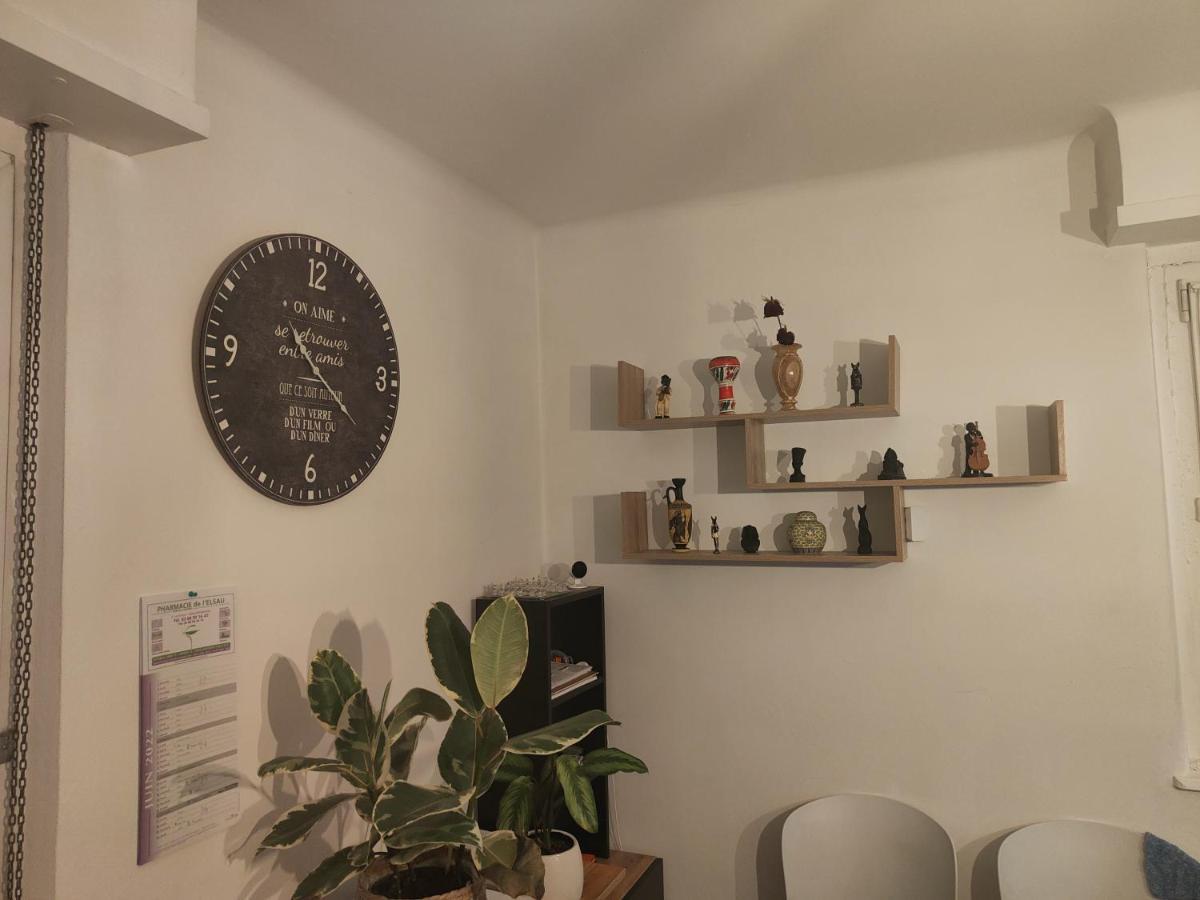 Tres Grand Appartement De 76M2 A Страсбург Екстериор снимка