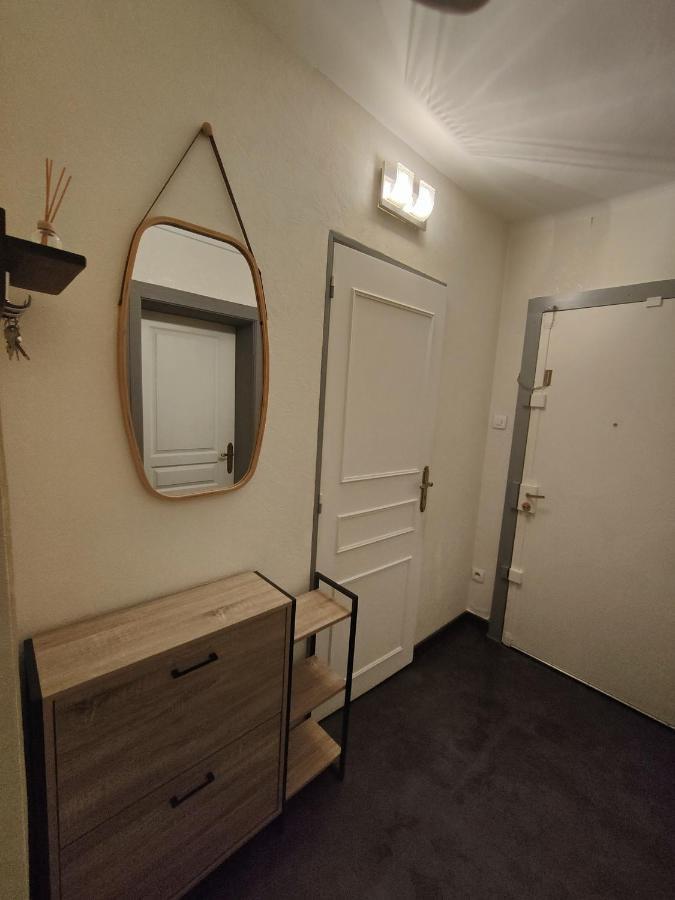 Tres Grand Appartement De 76M2 A Страсбург Екстериор снимка